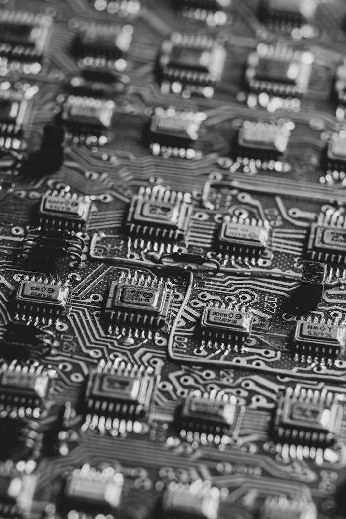 High-detail black and white image focusing on microchips on a circuit board.